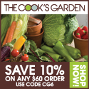 Promo Offer Homepage Banner