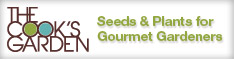 Promo Offer Homepage Banner