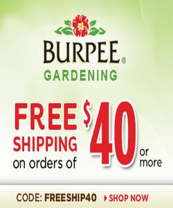 Burpee.com - Garden HP Image