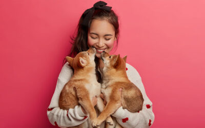 Creator‑Led Content Strategy Drives Measurable Impact in the Pet Wellness Vertical